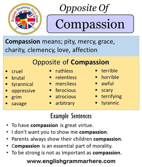 the word compassion antonym.